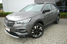 Opel Grandland X Automat,Kamera,Navi Dębica - zdjęcie 11