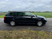 Škoda Octavia Oryginalny lakier, bezwypadkowy, zadbany, bez korozji Kobielice - zdjęcie 4