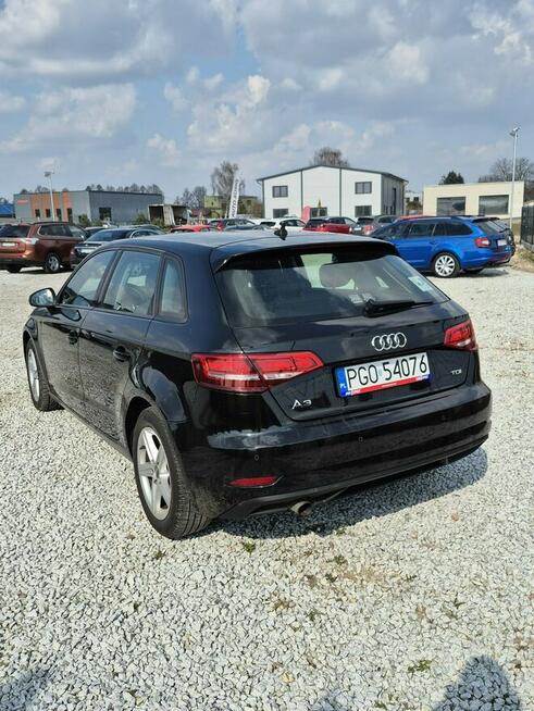 Audi A3 Grodzisk Wielkopolski - zdjęcie 9