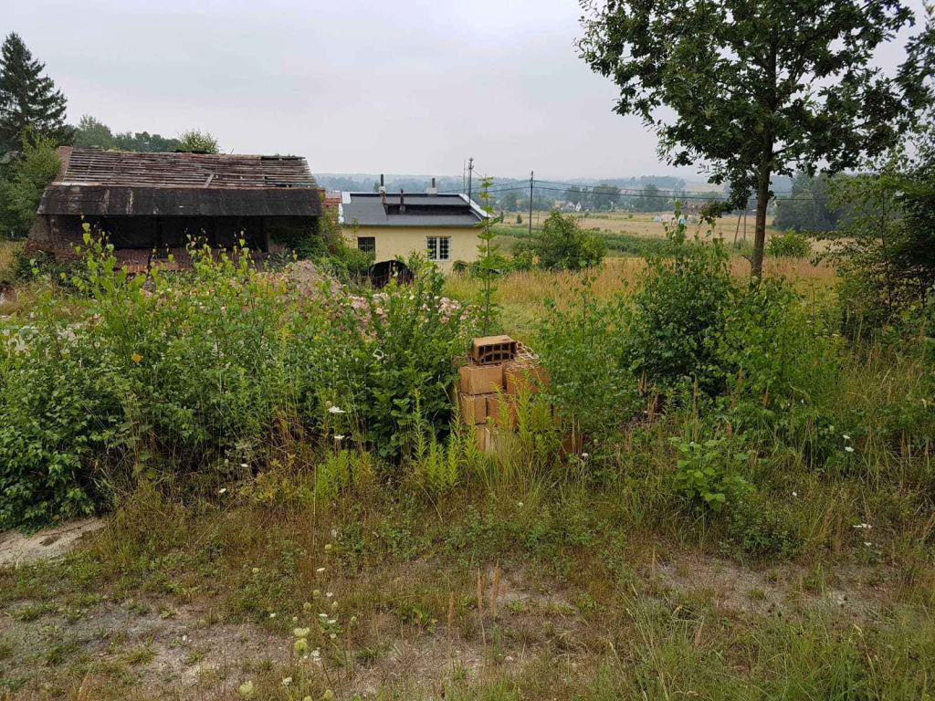Dz. Inwestycyjna (31622 m2) ze starą cegielnią (Kościelnik) Kościelnik - zdjęcie 3