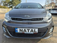 Kia Rio **REZERWACJA** Bydgoszcz - zdjęcie 6