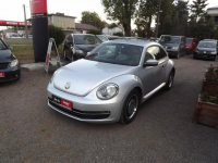 Volkswagen Beetle Janów Lubelski - zdjęcie 1