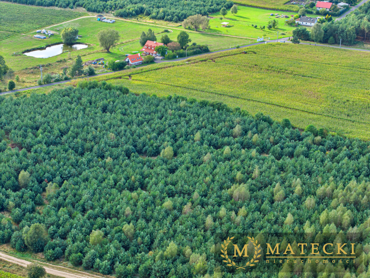Wyjątkowa, duża działka z drzewami Karczewko - zdjęcie 9