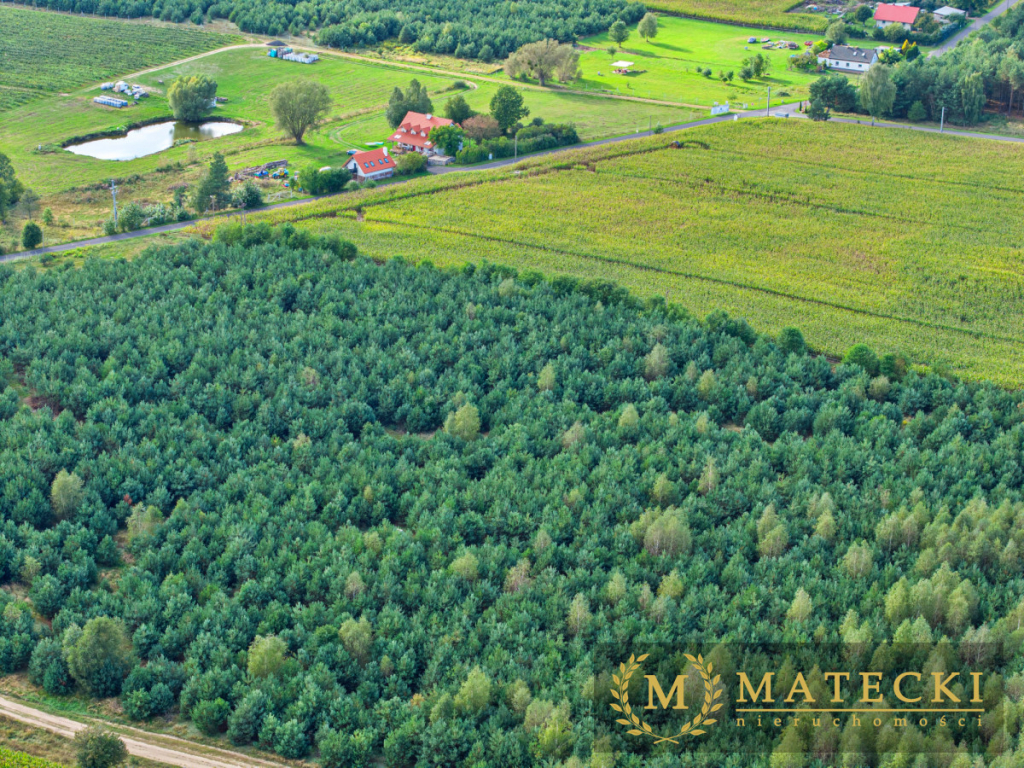 Wyjątkowa, duża działka z drzewami Karczewko - zdjęcie 9