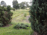 KASZUBY.DZIAŁKA BUDOWLANA. WARUNKI ZABUDOWY. Skrzydłowo - zdjęcie 6