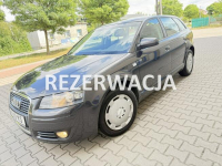 Audi A3 8P 1.6B 2007r Sportback Climatronic 5-Drzwi Serwisowane Hak!