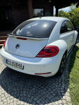 samochód osobowy Volkswagen Beetle 2014 Leszno - zdjęcie 3