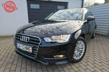 Audi A3 2.0 TDI 150KM quattro BEZWYPADEK 5 drzwi ZADBANY BDB stan