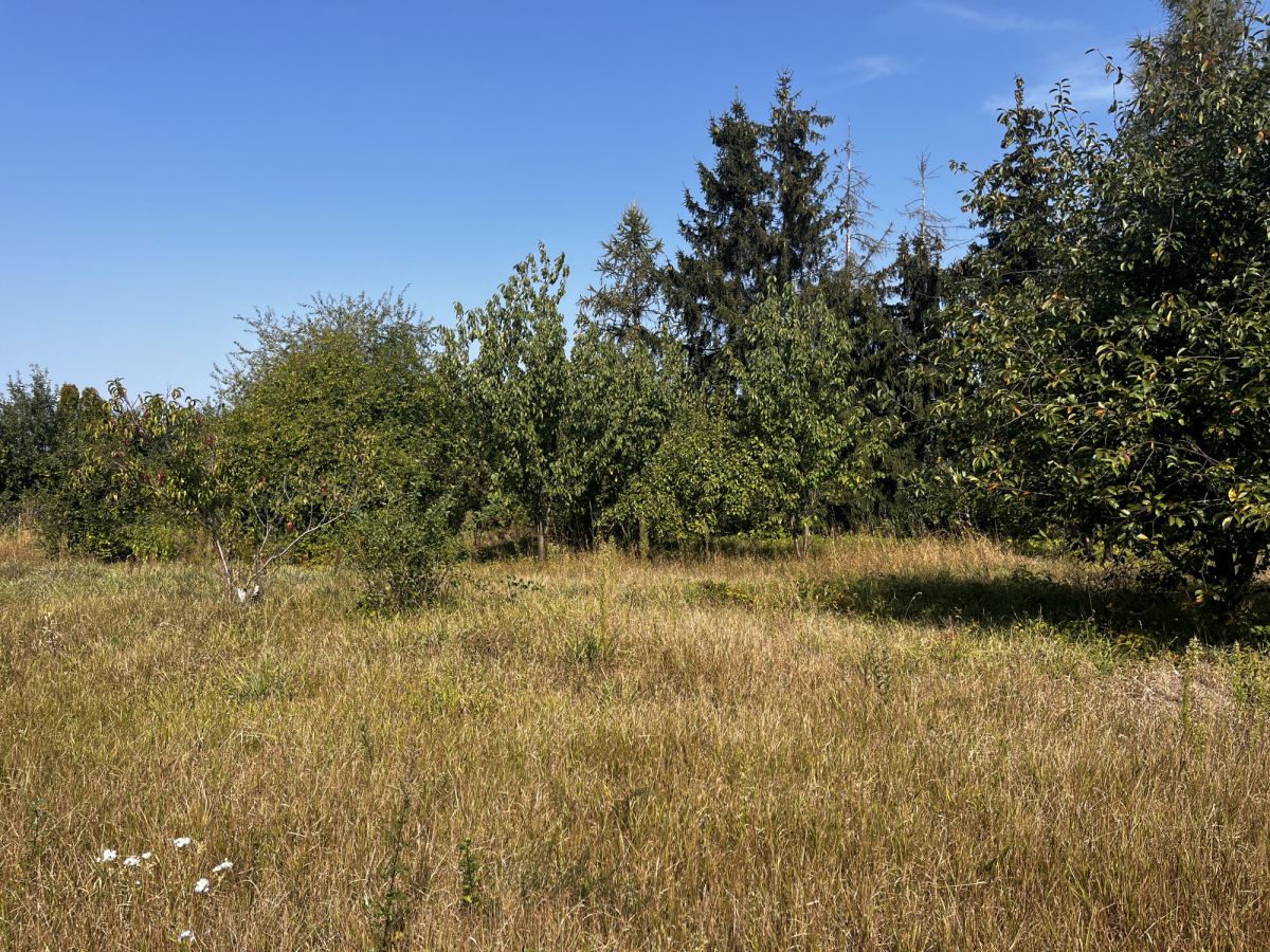 Działka w Dusznikach-miejsce dla Twojej Rodziny Duszniki - zdjęcie 4