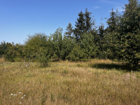 Działka w Dusznikach-miejsce dla Twojej Rodziny Duszniki - zdjęcie 4