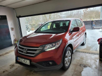 SPRZEDAM Pionki - zdjęcie 2