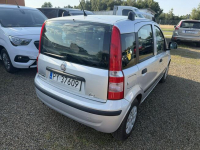 Fiat Panda klima, zarejestrowany, 80tys.km! Zbąszyń - zdjęcie 12