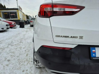 Opel Grandland X Najbogatsza wersja* Skora* Model 2019 Bydgoszcz - zdjęcie 10