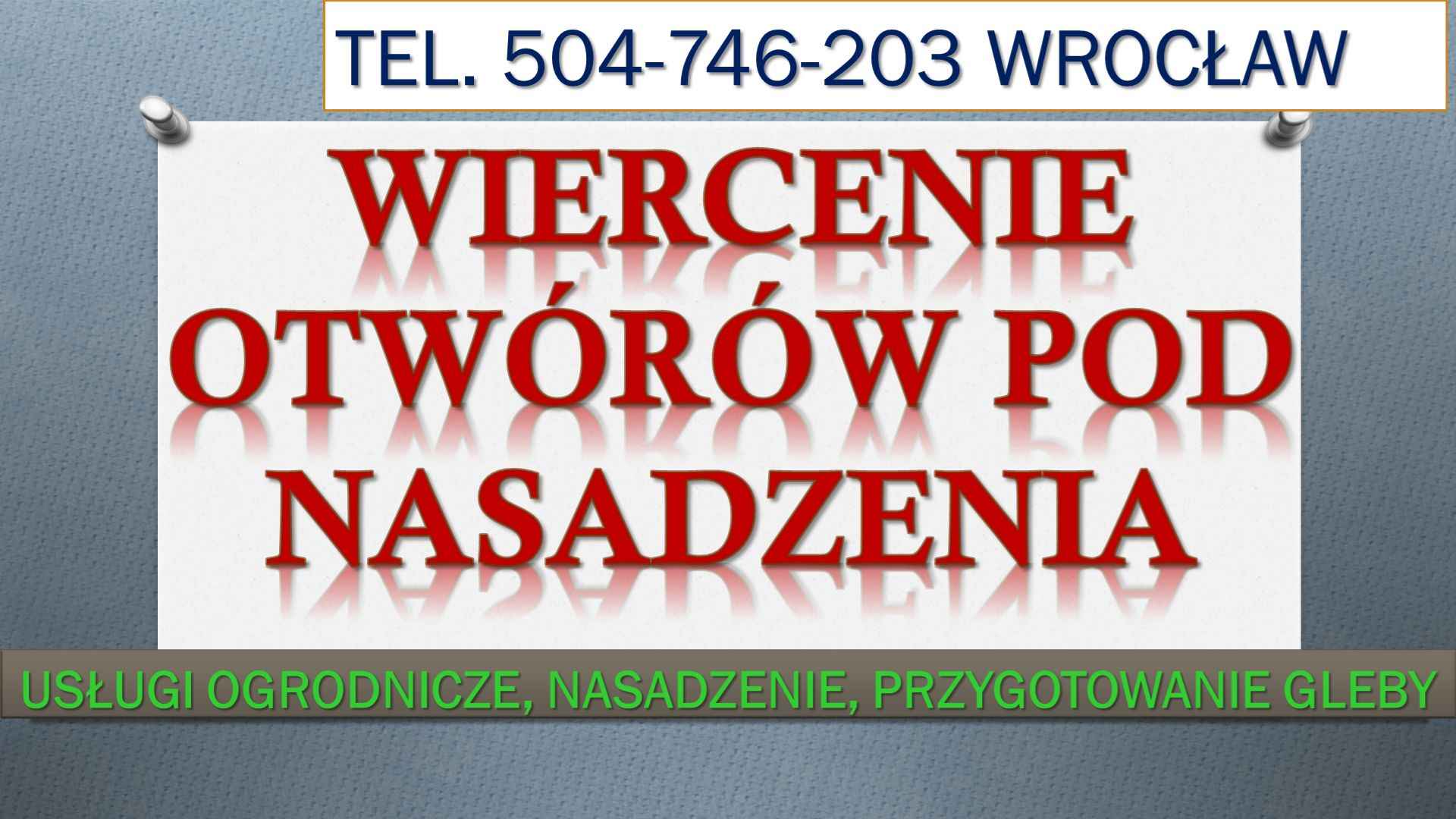 Nasadzenia tuje, Wrocław, tel. 504-746-203. Przygotowanie do posadzeni Psie Pole - zdjęcie 4