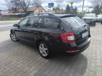 Škoda Octavia 2.0 TDi 150KM Klimatronic Navi Łuków - zdjęcie 8