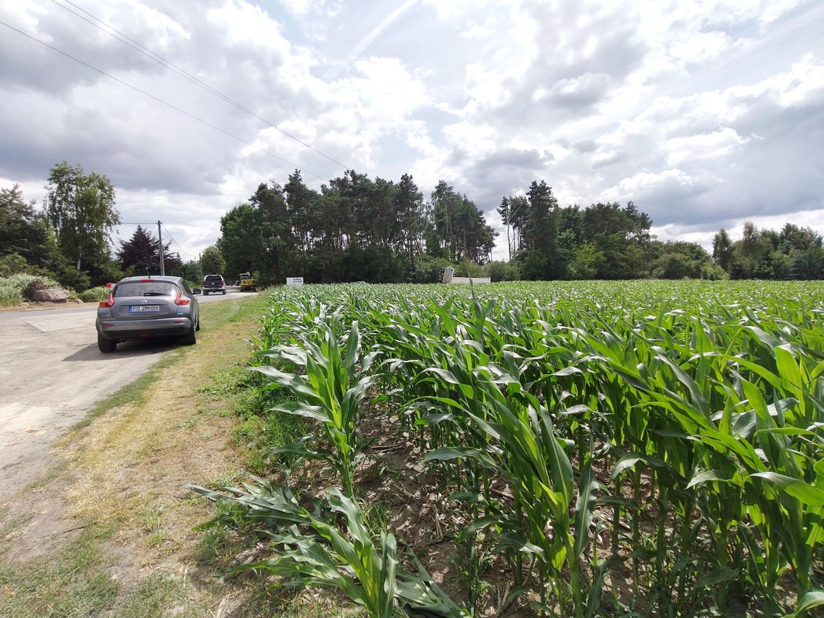 Działka z WZ, magazynowo - biurowe. Wysoczka - zdjęcie 6