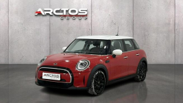 Mini Cooper GPF 1.5 brnzyna