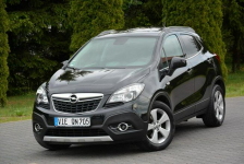 Innovation 4x4 Xenon Led Navi 2xParktronic Skóry Aso Opel Alu17" Ostrów Mazowiecka - zdjęcie 2