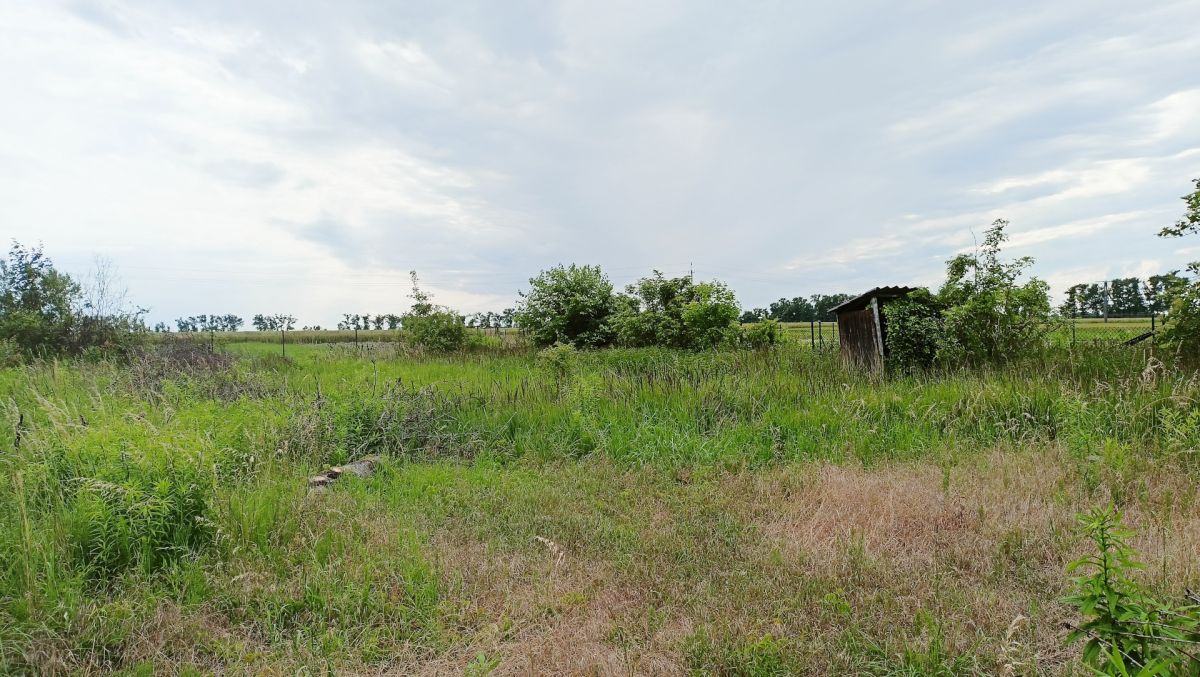 Działka z MPZP, możliwość dalszego podziału. Komorniki - zdjęcie 4