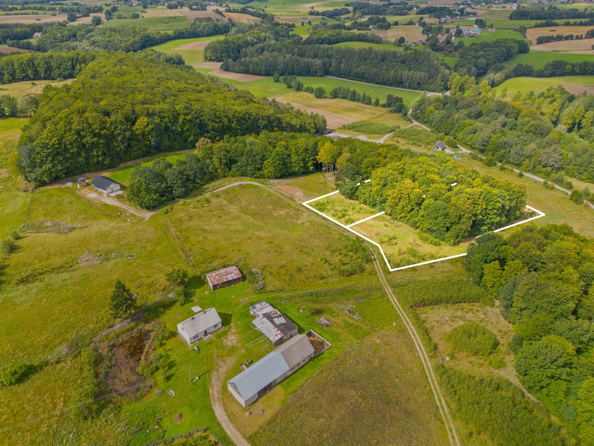 Malownicza okolica i prywatny las. Blisko jezioro Trzepowo - zdjęcie 3