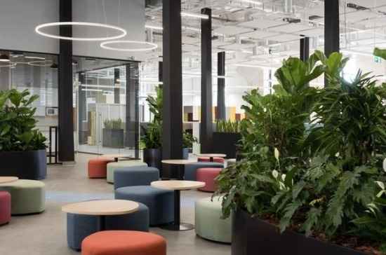 Firma sprzątająca – co wyróżnia najlepsze na rynku? Śródmieście - zdjęcie 3