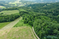 20 km od Rzeszowa | 0.39 ha | Zielona okolica Straszydle - zdjęcie 11