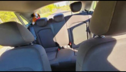 Audi A1 Stargard - zdjęcie 9