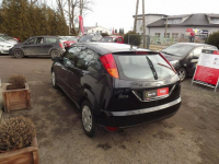 Ford Focus Janów Lubelski - zdjęcie 5