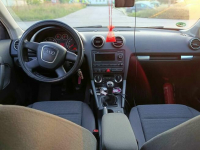 Audi a 3 8p 1.9tdi bxe Starogard Gdański - zdjęcie 6