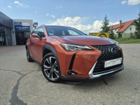 Lexus UX Giżycko - zdjęcie 3
