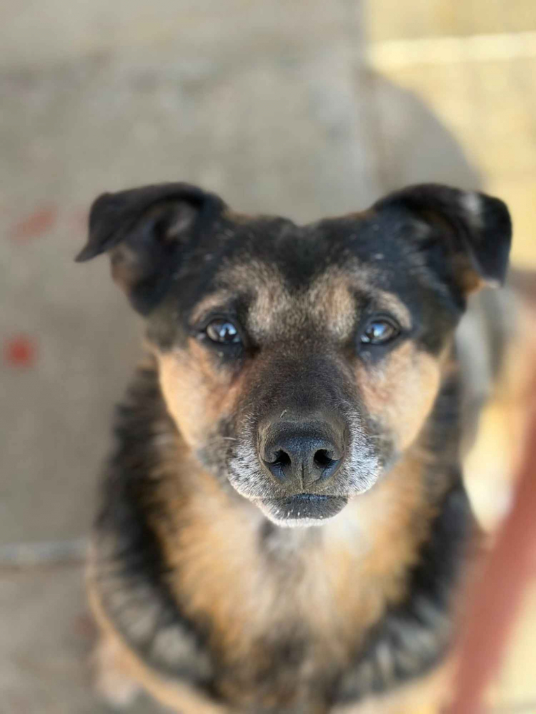 Edek - nigdy nikt go nie pokochał... Olsztyn - zdjęcie 1