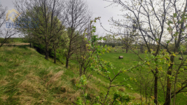 Sprzedam działkę w Helence, w gminie Młodzieszyn Helenka - zdjęcie 5