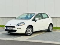 Fiat Punto Evo 1.4 Benz. 77 KM nowy rozrząd,olej,hamulce Mikołów - zdjęcie 3