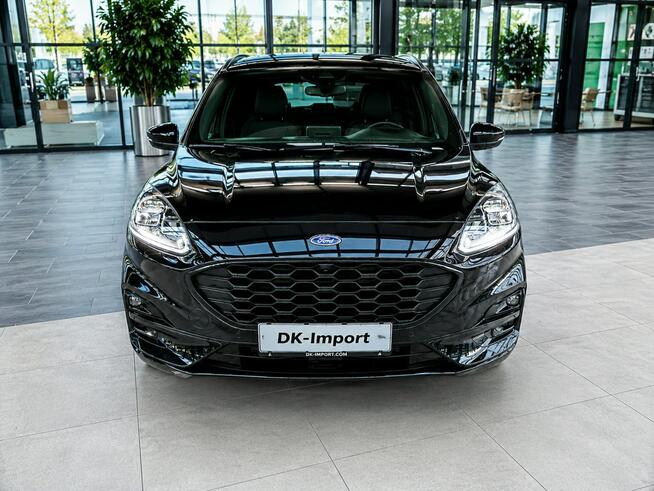 Ford Kuga Sadlno - zdjęcie 2