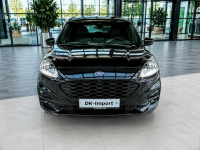 Ford Kuga Sadlno - zdjęcie 2