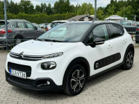 Citroen C3 *Benzyna*Nowy Rozrząd*BDB stan* Zduńska Wola - zdjęcie 10