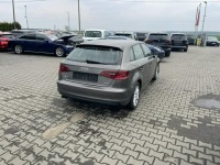 Audi A3 Klimatronik Podgrzewanie Parktronik LED Gliwice - zdjęcie 4