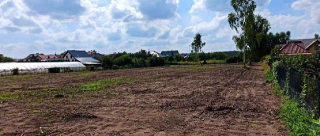 Działka Budowlana (6600 m2) okolice Różanej (Syców) Syców - zdjęcie 6