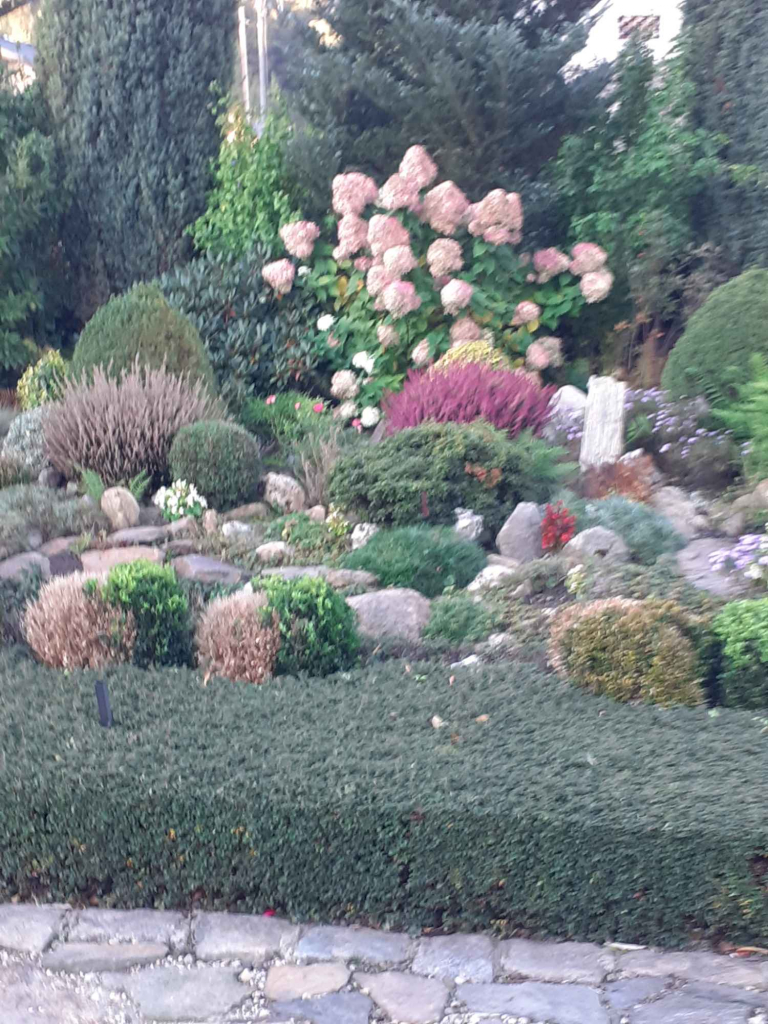 Sprzedam siedlisko dom mieszkalny Jarnołtówek - zdjęcie 12