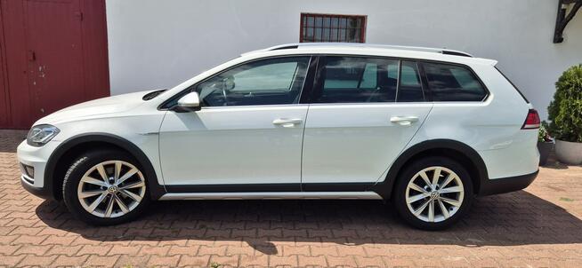 Volkswagen Golf Alltrack Zarejestrowany Paproć - zdjęcie 6