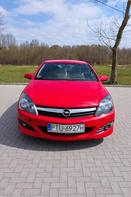 Sprzedam Turek - zdjęcie 1