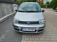 Fiat Panda samochód ciężarowy idealny dla firmy Nowe Miasto - zdjęcie 8