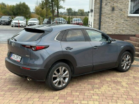 Mazda CX-30 Sadlno - zdjęcie 12