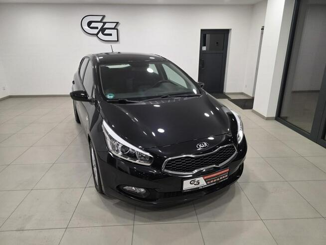 Kia Cee'd 1.6 / Bezwypadkowy/Serwisowany/Gwarancja roczna w cenie Korczyna - zdjęcie 9
