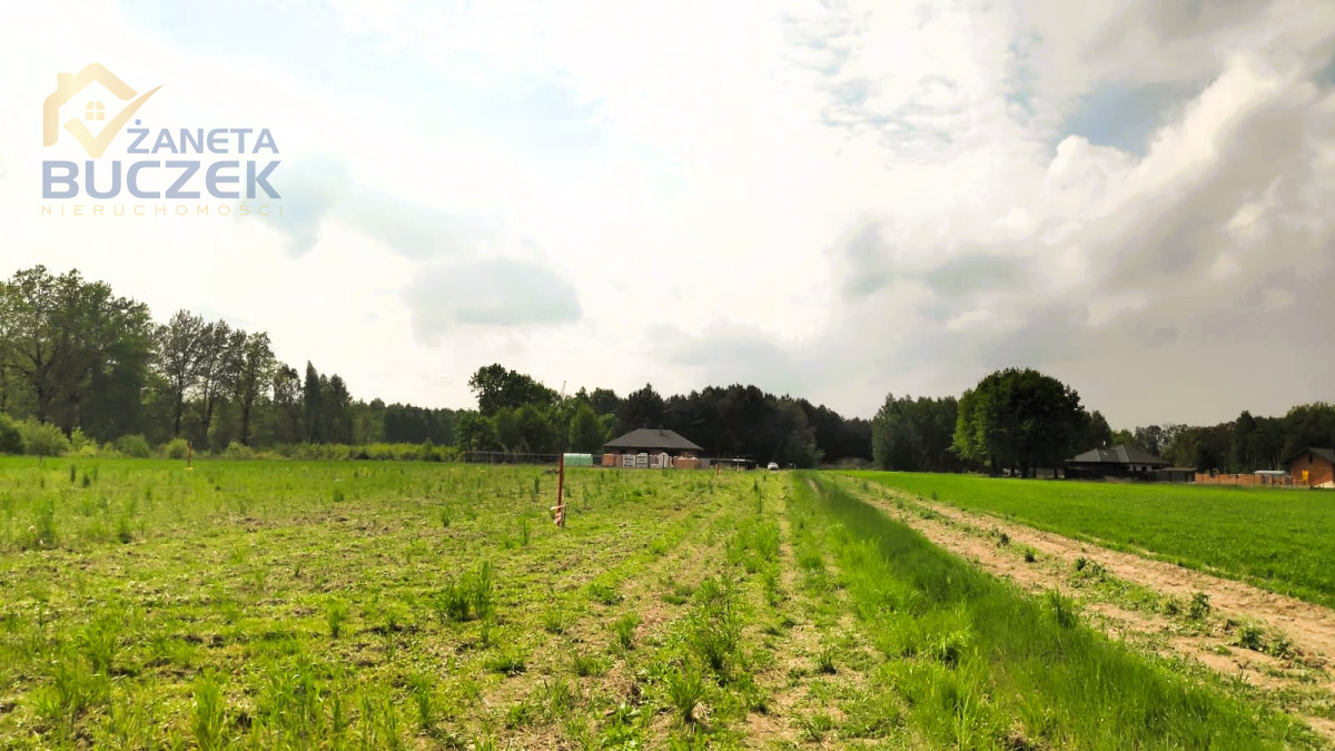 Sprzedam działki budowlane w Orłach Cesin Orły-Cesin - zdjęcie 1