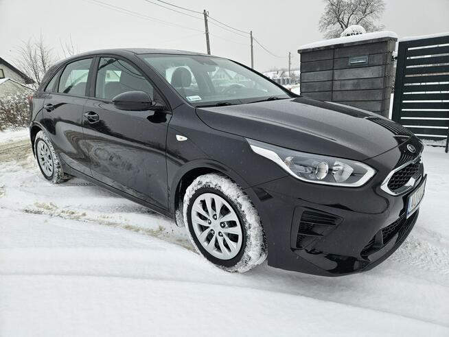 Kia Cee'd Polski salon, bezwypadkowy, gwarancja do 2028 roku Liszki - zdjęcie 3