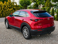 Mazda CX-30 Sadlno - zdjęcie 6