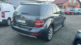 Mercedes ML 350 navi, automat, 4matic, zarejestrowany! Zbąszyń - zdjęcie 12