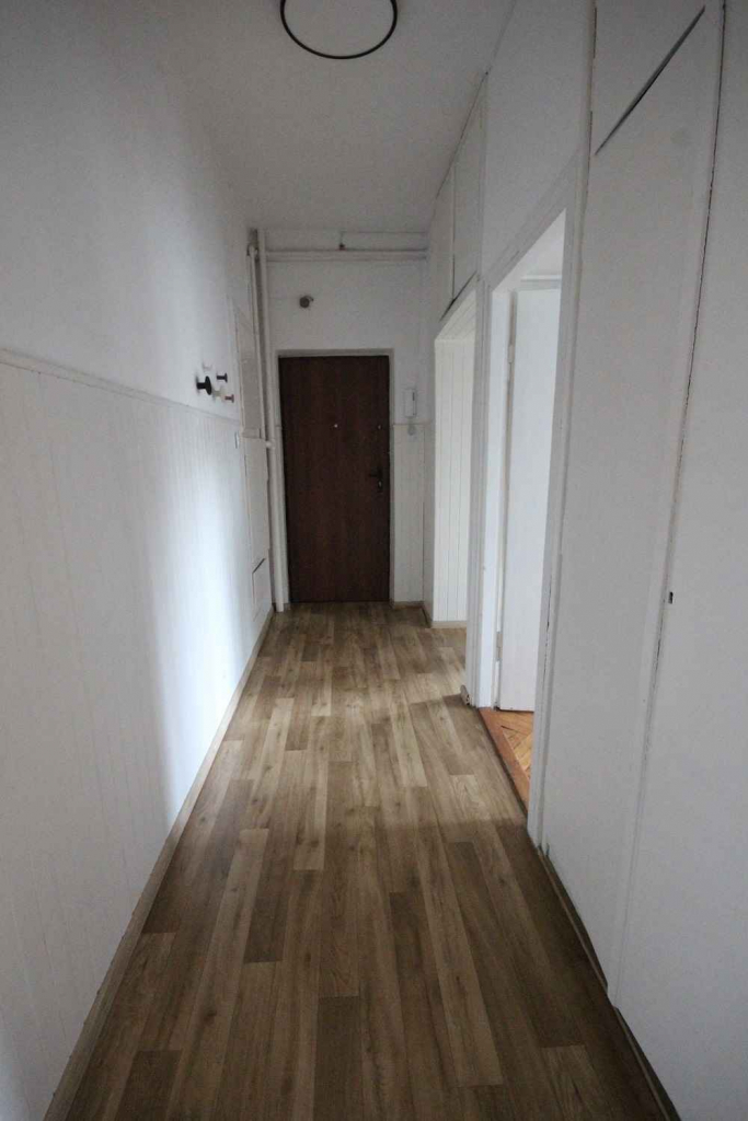 2pok, 42met, okolice Świdnickiej PIWNICA (Wrocław) Stare Miasto - zdjęcie 10