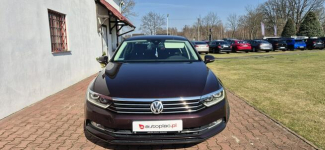 Volkswagen Passat LED-NAVI-START-STOP Paproć - zdjęcie 2